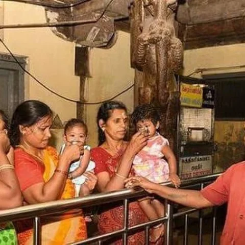 பசியால் அழும் குழந்தைகளுக்குப் பால்! - முன் மாதிரியாகும் மதுரை மீனாட்சி அம்மன் கோயில்