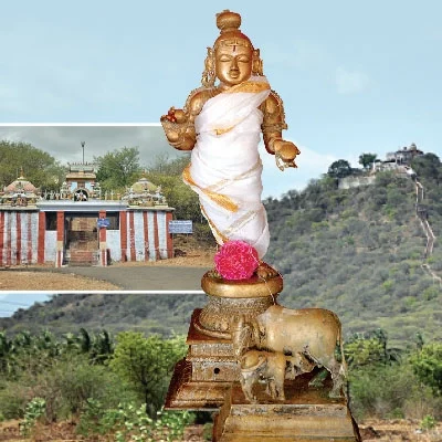கோமாதாவைக் காக்கும் கோபிநாதா...!