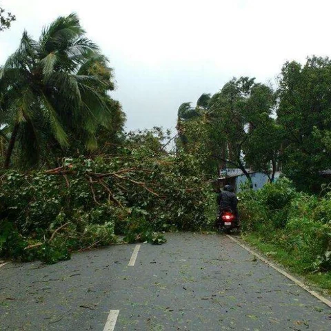 ஒகி புயல் நிவாரணம் கேட்டுப் போராடிய 103 மீது போடப்பட்ட வழக்கு ரத்து - உயர் நீதிமன்றம் அதிரடி!