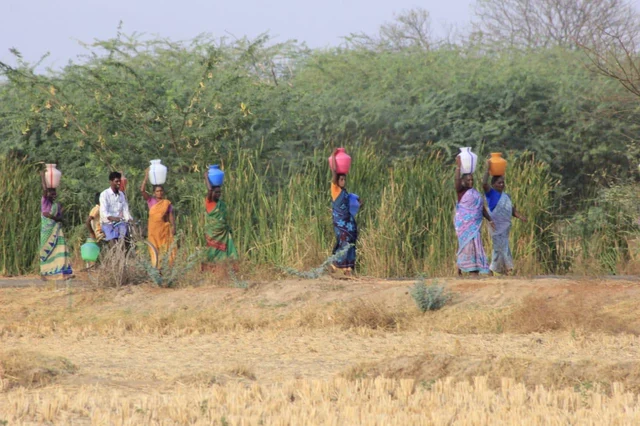 `ஒரு குடம் தண்ணீருக்கு 4 கி.மீ. அலையுறோம்!' - காவிரிக் கரையில் ஒலிக்கும் வேதனைக் குரல்கள்