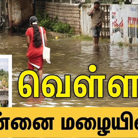 அடையாறு வெள்ளம் புரட்டிப்போட்ட புத்தகங்கள்!... சென்னை மழையின் மீள்நினைவுகள் அத்தியாயம்-3