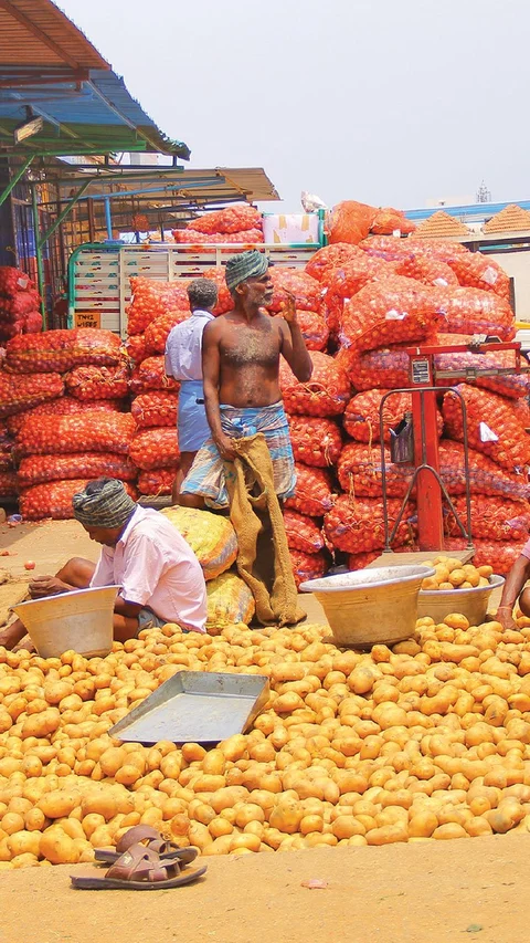 அள்ளித்தரும் அக்கரைச் சீமை... ஏற்றுமதிக்கு வழிசொல்லும் வெற்றி சூத்திரங்கள்! - 3