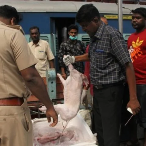 இறைச்சியின் ஆய்வறிக்கையை வெளியிடாதது சந்தேகத்தை கிளப்புகிறது! - ஐகோர்ட்டில் வழக்கு