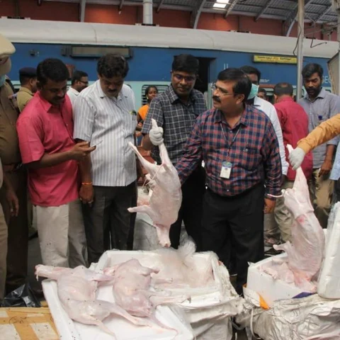 ரயிலில் வந்தது ஆட்டுக்கறியா... நாய்க்கறியா? -இறைச்சி சங்கத்தின் விளக்கம்