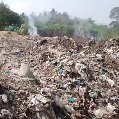 நாகை கொள்ளிடம் ஆற்றின் அருகே கொட்டப்படும் குப்பை குவியல்! - மாற்று ஏற்பாடு செய்ய மக்கள் கோரிக்கை