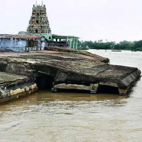 ஆற்றுக்குள் கெத்தாக நிற்கும் குறுக்குத்துறை முருகன்! - நெல்லை ஹைலைட்ஸ் #MyVikatan
