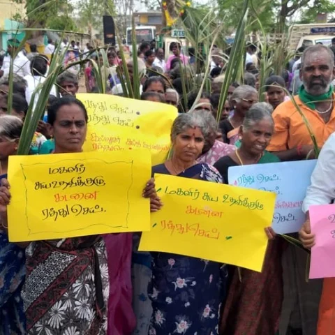 `எங்கள் வீட்டு பிள்ளைகளை’ - இழந்துவிட்டோம் தென்னை விவசாயிகள் உருக்கம்!