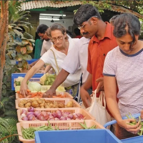 From farmer's land to vegetable market... Must know info about agri supply chain..! - Part 19