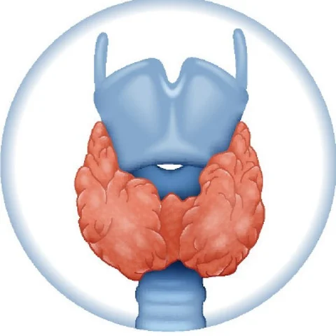 Yoga-Remedy for Thyroid