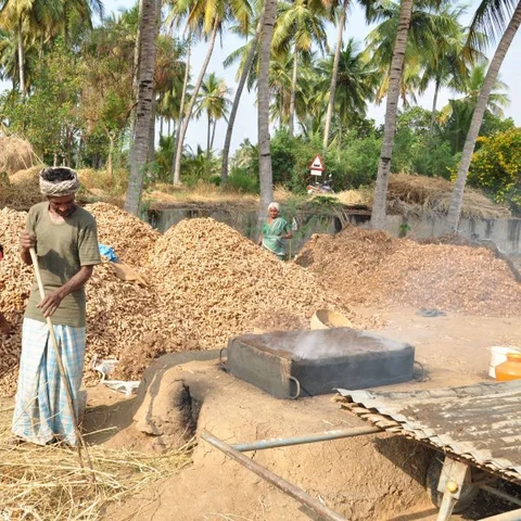 'மஞ்சள் மவுசு இன்னும் குறையவேயில்லை!' மகத்தான லாபம் தரும் மஞ்சள்
