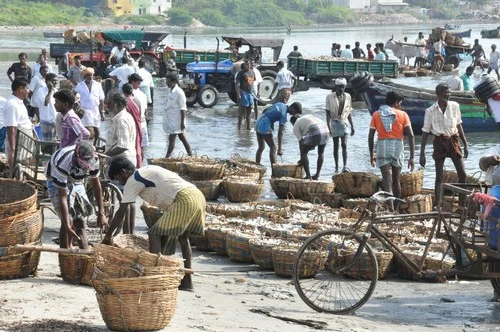 ராமேஸ்வரம் மீனவர்கள் மீது இலங்கை கடற்படை மீண்டும் தாக்குதல் (படங்கள்)