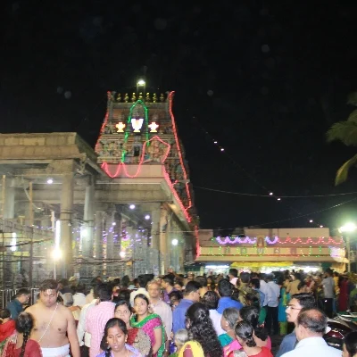 திருவல்லிக்கேணியில் சொர்க்கவாசல் திறப்பு