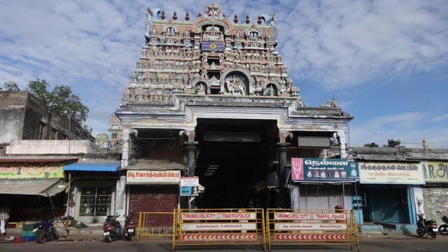 நெல்லையப்பர் கோயிலில் தெப்பத் திருவிழா!