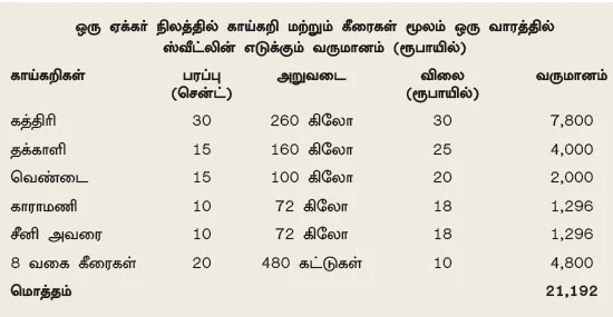கலப்புப் பயிரில் கலக்கும் பெண் விவசாயி!