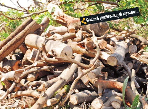 'தானே' துயர் துடைத்தோம்!