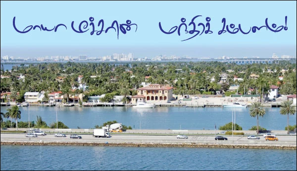 மாயா டீச்சரின் மந்திரக் கம்பளம் !