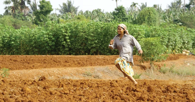 ``பாரதிராஜா, சீமானால் எங்கள் சினிமாவை உருவாக்க முடியாது!'' - ஈழ இயக்குநர் ரஞ்சித்