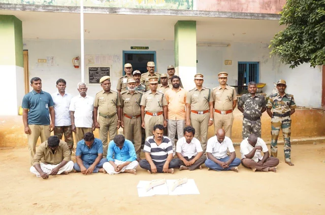 ஸ்ரீவில்லிப்புத்தூர் அருகே ஒரு கோடி ரூபாய் மதிப்பிலான யானை தந்தங்கள் விற்க முயற்சி! - 7 பேர் கைது