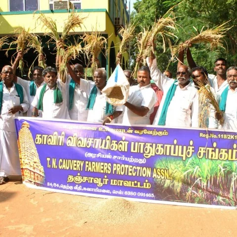 `நிபந்தனை இல்லாமல் நெல் கொள்முதல் செய்ய உத்தரவிடுங்கள்!’ - விவசாயிகள் வலியுறுத்தல்