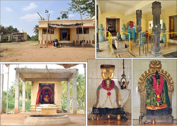 வெண் பூசணி வழிபாடு!