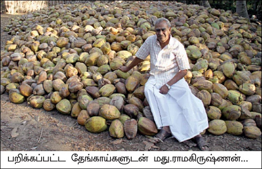 ஆயுளைக் கூட்டும் ஆரோக்கிய வனம்...