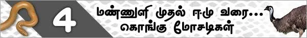 மண்ணுளி முதல் ஈமு வரை: மிரள வைக்கும் கொங்கு மோசடிகள் -4