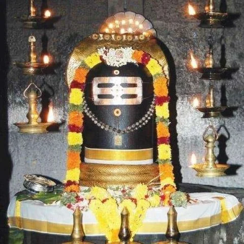 சமணத்திலிருந்து சைவம் தழுவிய பாண்டிய மன்னன்... நின்றசீர் நெடுமாற நாயனார் குருபூஜை பகிர்வு