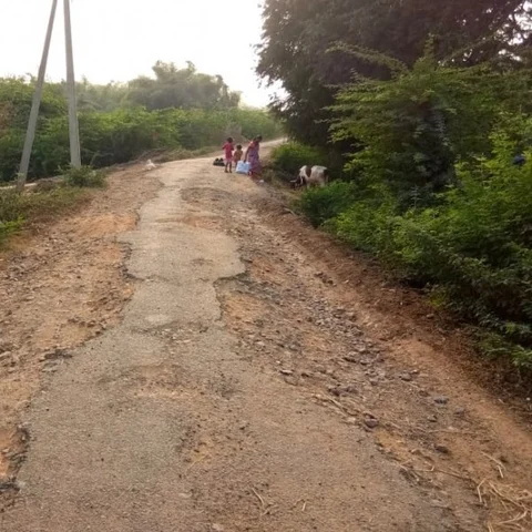 மோசமான நிலையில் கொள்ளிடம் ஆற்றின் கரை சாலை -பொதுப்பணித்துறையின் அலட்சியம் என குற்றச்சாட்டு