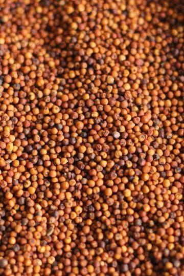 `கேழ்வரகு, கம்பைக் காணோம்; பீட்சா, பர்கர் வந்துவிட்டது!’ - உருக்கமாக நடந்த பாரம்பர்ய உணவு விழா