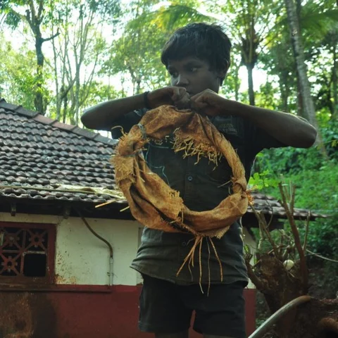 "அப்பா அம்மாட்ட காசு குடுத்தா குடிப்பாங்க!" 100 ரூபாய் கூலிக்கு மரம் ஏறும் பழங்குடிச் சிறுவன்
