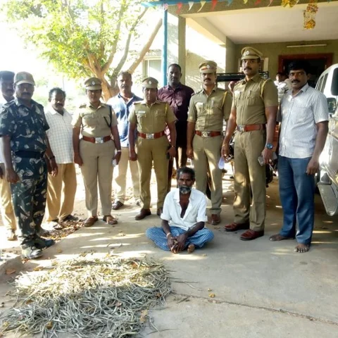 புதுக்கோட்டையில் பதுக்கிவைக்கப்பட்டிருந்த 1600 கடல் பல்லிகள் - போலீஸார் பறிமுதல்