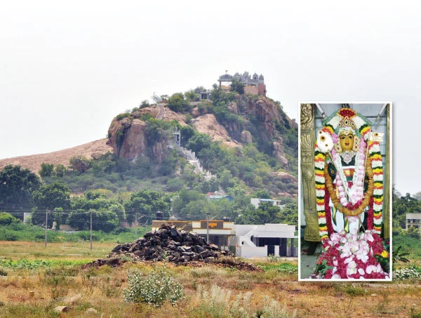 கல்யாணம் கைகூட... செவ்வரளிப் பூவும் செவ்வாழைப் பழமும்!