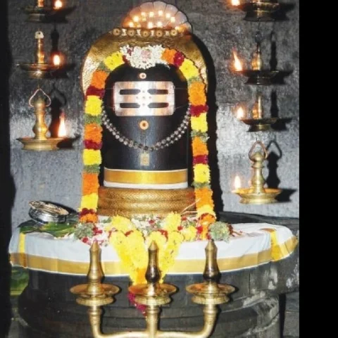 சிவனுக்கு உகந்த அபிஷேகப் பொருள்களும் அதன் பலன்களும்! #PhotoStory
