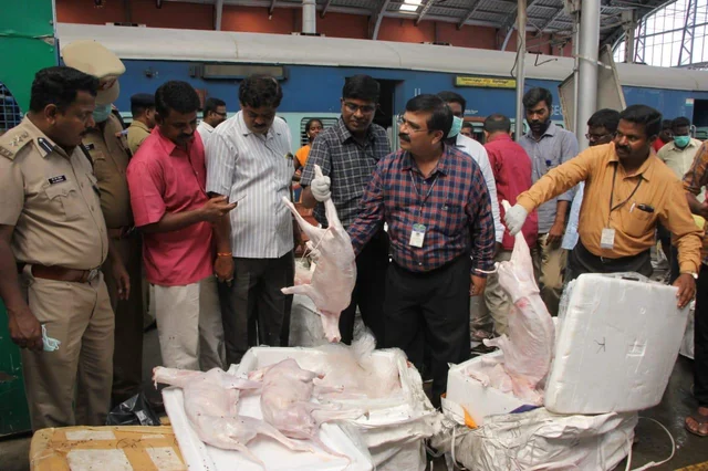``ரயிலில் வந்தது ஆட்டுக்கறிதான்!” - கால்நடை மருத்துவக் கல்லூரியின் ஆய்வு முடிவு