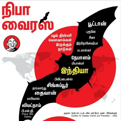 நிபா... அறிகுறிகள், பாதிப்புகள், தற்காப்பு வழிமுறைகள்! #NipahVirus #VikatanInfographics