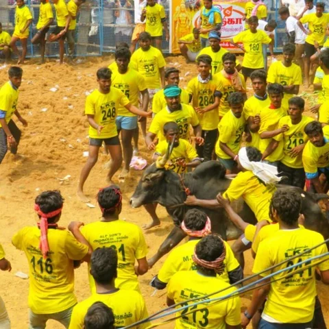 `ஜல்லிக்கட்டில் இப்படி பண்ணுறாங்க' - ஆதங்கப்படும் காளை உரிமையாளர்கள்
