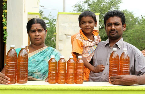 மாதம்தோறும் 1,00,000 தெம்பான வருமானம் தரும் இத்தாலியத் தேனீ !