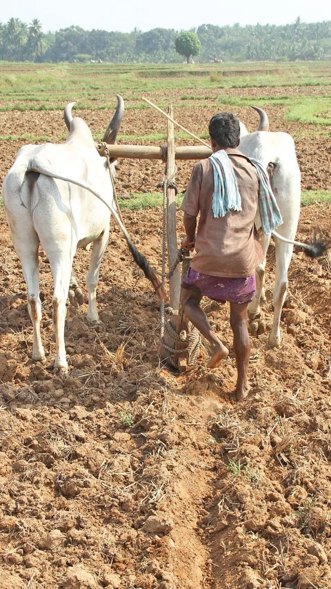 மண், மக்கள், மகசூல்! - உங்கள் நிலத்திலேயே உரத்தொழிற்சாலையை உருவாக்கலாம்..!