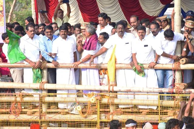 தச்சன்குறிச்சியில் முதல் ஜல்லிக்கட்டு! - சீறிப்பாய்ந்த காளைகள்; 13 வீரர்கள் காயம்
