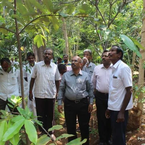 நம்மாழ்வார் சொன்ன வழி! - வறண்ட பூமியில் அதிசயிக்க வைத்த கரூர் விவசாயி