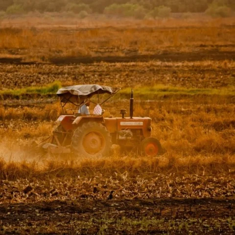 மண் வளம்... எப்போது கவலைப்படப்போகிறோம்? #WorldSoilDay