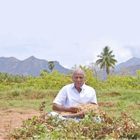 50 Cent... 120 days... ₹27,000! - Assured return from Nilakadalai Cultivation
