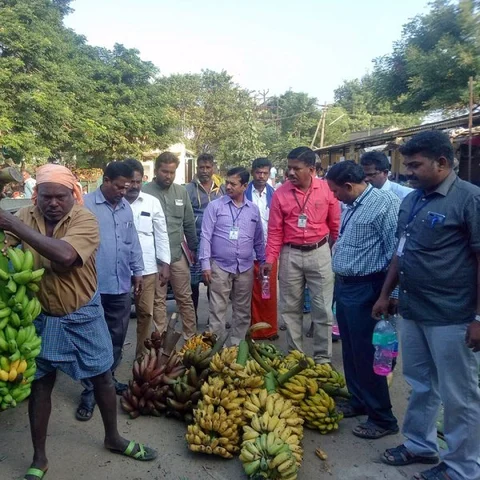 `ரசாயனம் தடவிய வாழைப்பழம் விற்பனை’- கடலூர் உழவர் சந்தையில் அதிரடிகாட்டிய அதிகாரிகள்