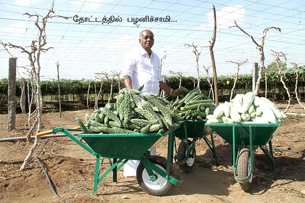 12 ஏக்கர்... 7 மாதங்கள்... 25 லட்சம்...
