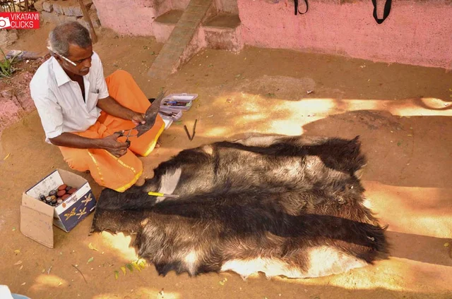 அருகிவரும் தோல்பாவை - தொன்மக் கலைஞர் முத்து ராமோடு ஒரு நாள்