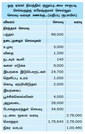ஏக்கருக்கு ஒரு லட்சம்... பந்தல் காய்கறி... பக்காவான வருமானம்...