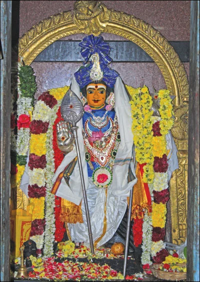 தைப்பூச சிறப்புகளுடன் 6 நிமிட வாசிப்பில் சக்தி விகடனின் 9 பரவசப் பகுதிகள்!