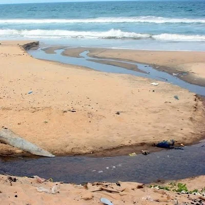 இறால் பண்ணையும்... இயற்கை சீரழிவும்!