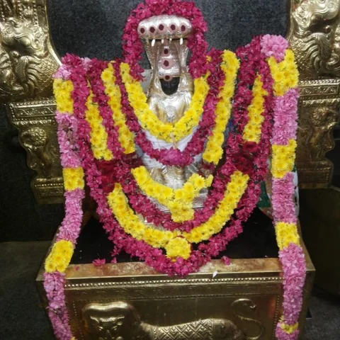 நாளை ராகு-கேது பெயர்ச்சி - கீழப்பெரும்பள்ளம் நாகநாதசுவாமி கோயிலில் சிறப்பு பூஜைகள்!