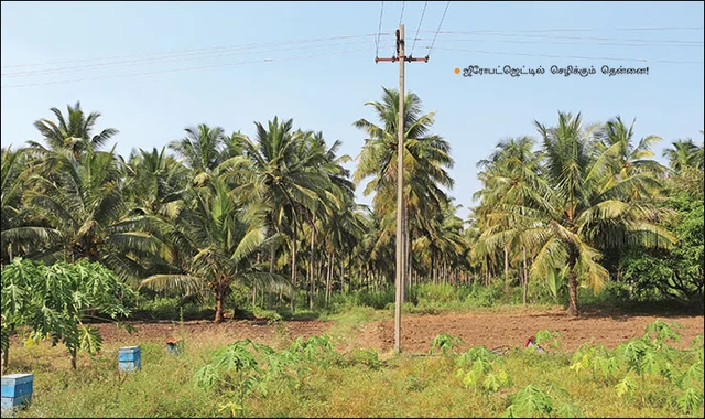 இயற்கை விவசாய மகசூல்: 5 நிமிட வாசிப்பில் பசுமை விகடன் 10 பகுதிகள்!